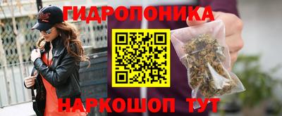 ГАЛЛЮЦИНОГЕННЫЕ ГРИБЫ Гатчина