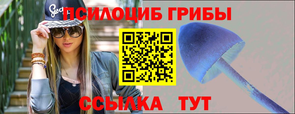 Вольск  где можно купить наркотик  Вход с VPN  Псилоцибиновые грибы Psilocybine cubensis 